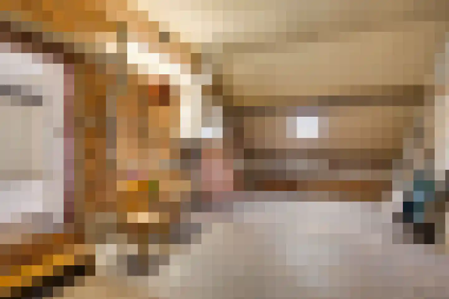 Tuurkesweg 14 Weert thumbnail 23