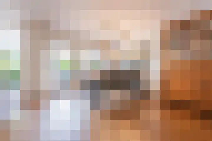 Twaalf Apostelen 11 Tiel thumbnail 12