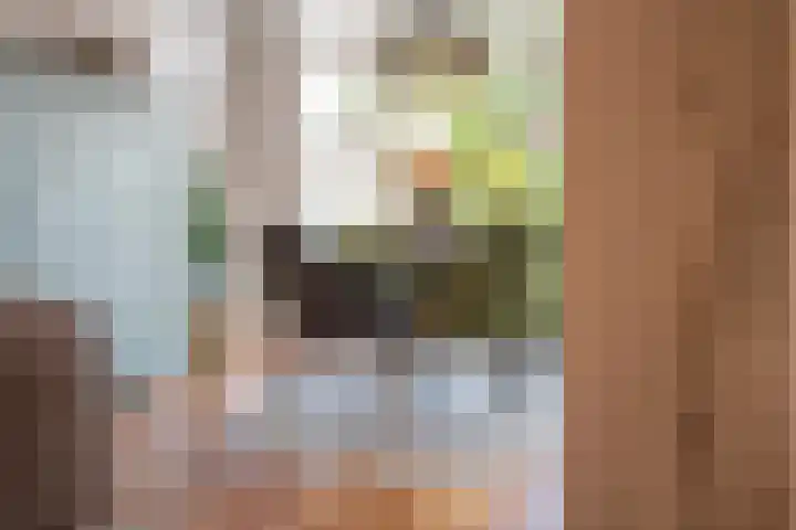 Twaalf Apostelen 11 Tiel thumbnail 18