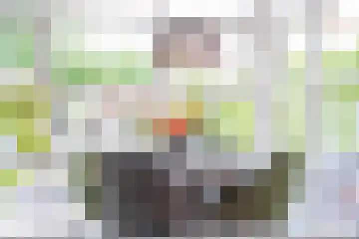 Twaalf Apostelen 11 Tiel thumbnail 20