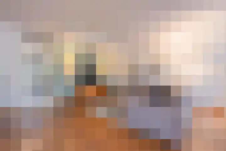 Twaalf Apostelen 11 Tiel thumbnail 24