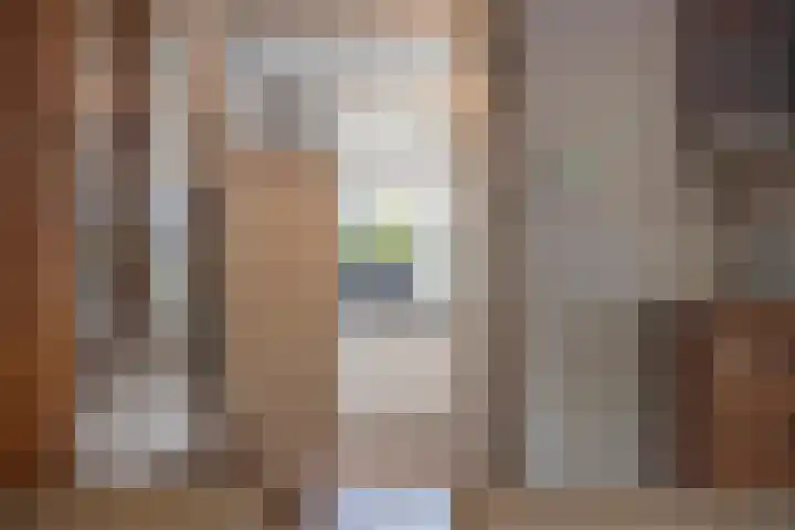 Twaalf Apostelen 11 Tiel thumbnail 28