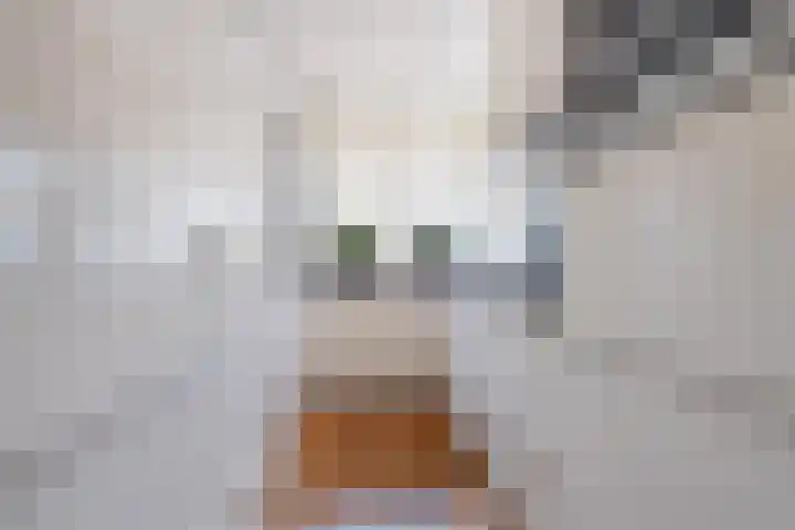Twaalf Apostelen 11 Tiel thumbnail 29