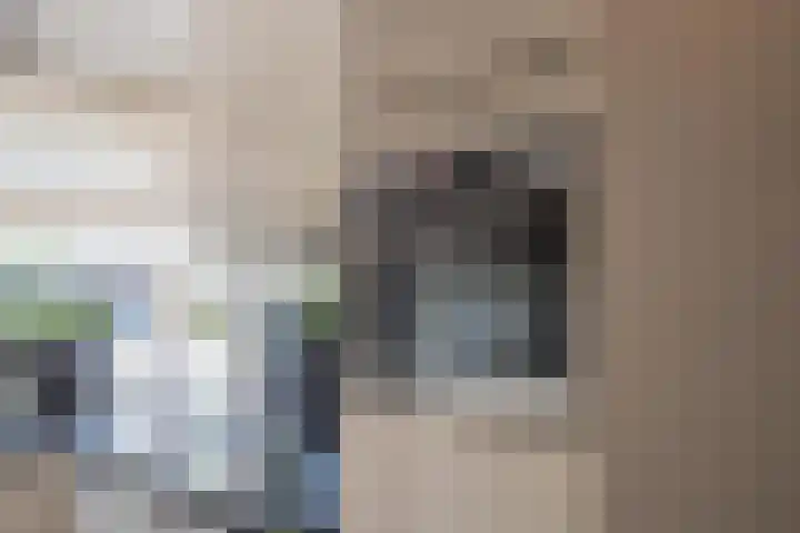 Twaalf Apostelen 11 Tiel thumbnail 33