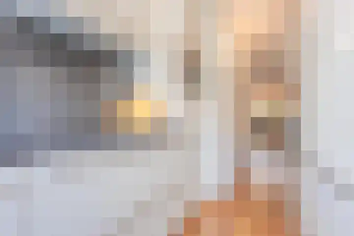 Twaalf Apostelen 11 Tiel thumbnail 34