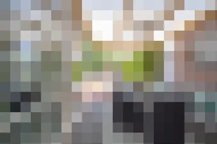 Twaalf Apostelen 11 Tiel thumbnail 35
