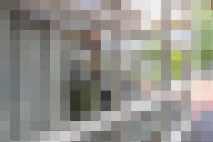 Twaalf Apostelen 11 Tiel thumbnail 36