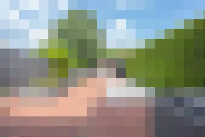 Twaalf Apostelen 11 Tiel thumbnail 37
