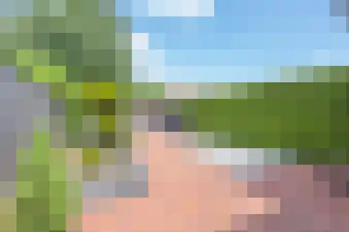 Twaalf Apostelen 11 Tiel thumbnail 38