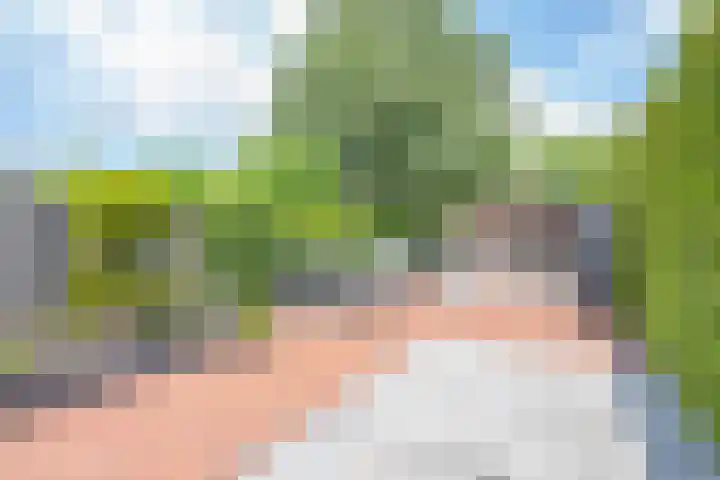 Twaalf Apostelen 11 Tiel thumbnail 39