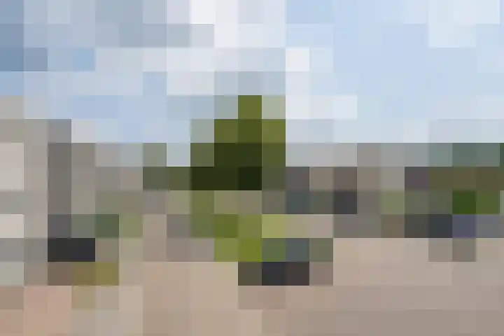 Twaalf Apostelen 11 Tiel thumbnail 4