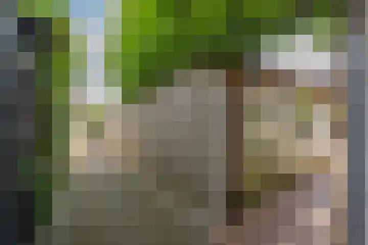 Twaalf Apostelen 11 Tiel thumbnail 41