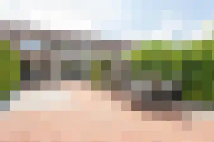 Twaalf Apostelen 11 Tiel thumbnail 43