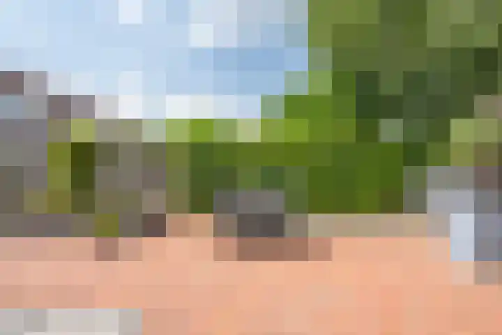 Twaalf Apostelen 11 Tiel thumbnail 44