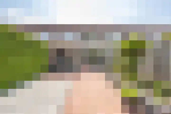 Twaalf Apostelen 11 Tiel thumbnail 45