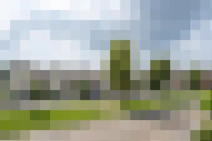 Twaalf Apostelen 11 Tiel thumbnail 5