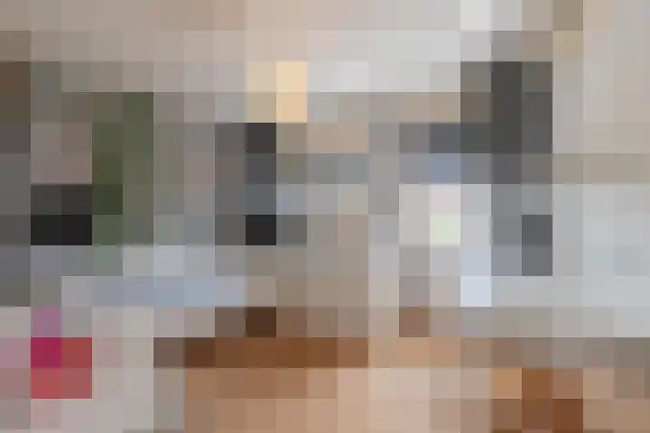 Twaalf Apostelen 11 Tiel thumbnail 56
