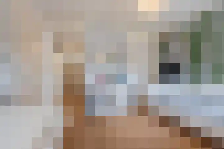 Twaalf Apostelen 11 Tiel thumbnail 57