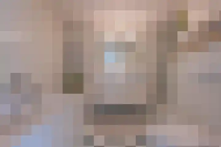 Twaalf Apostelen 11 Tiel thumbnail 58