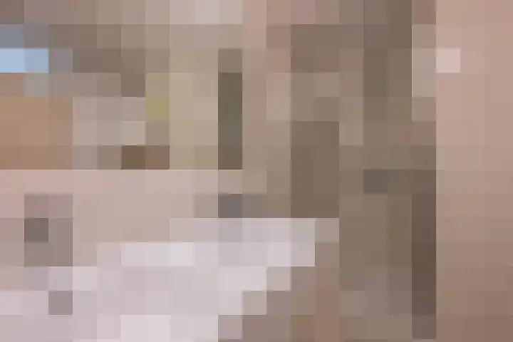 Twaalf Apostelen 11 Tiel thumbnail 60