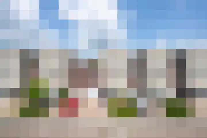 Twaalf Apostelen 11 Tiel thumbnail 64