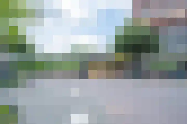 Twaalf Apostelen 11 Tiel thumbnail 65