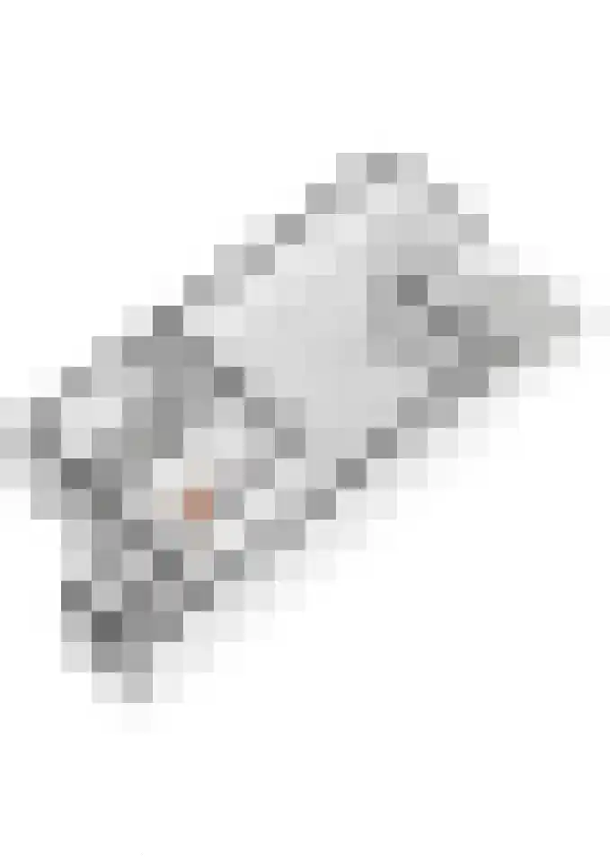 Twaalf Apostelen 11 Tiel thumbnail 67