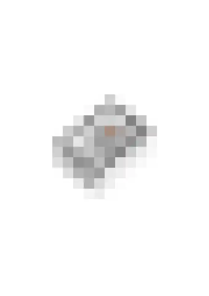 Twaalf Apostelen 11 Tiel thumbnail 71