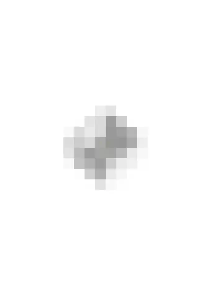 Twaalf Apostelen 11 Tiel thumbnail 73
