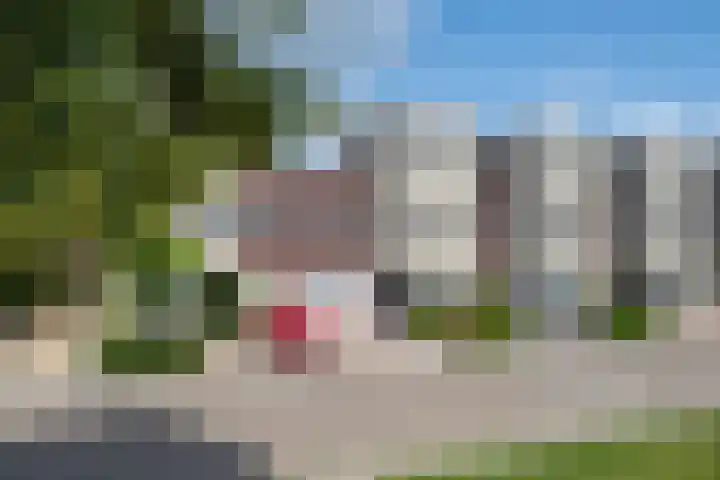 Twaalf Apostelen 11 Tiel thumbnail 74