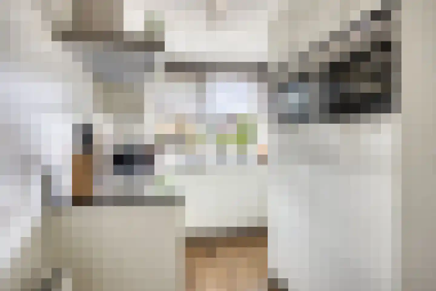 Twaalf Apostelen 19 Tiel thumbnail 10