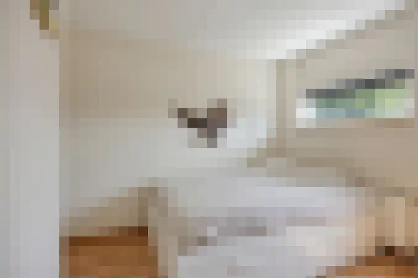 Twaalf Apostelen 19 Tiel thumbnail 21