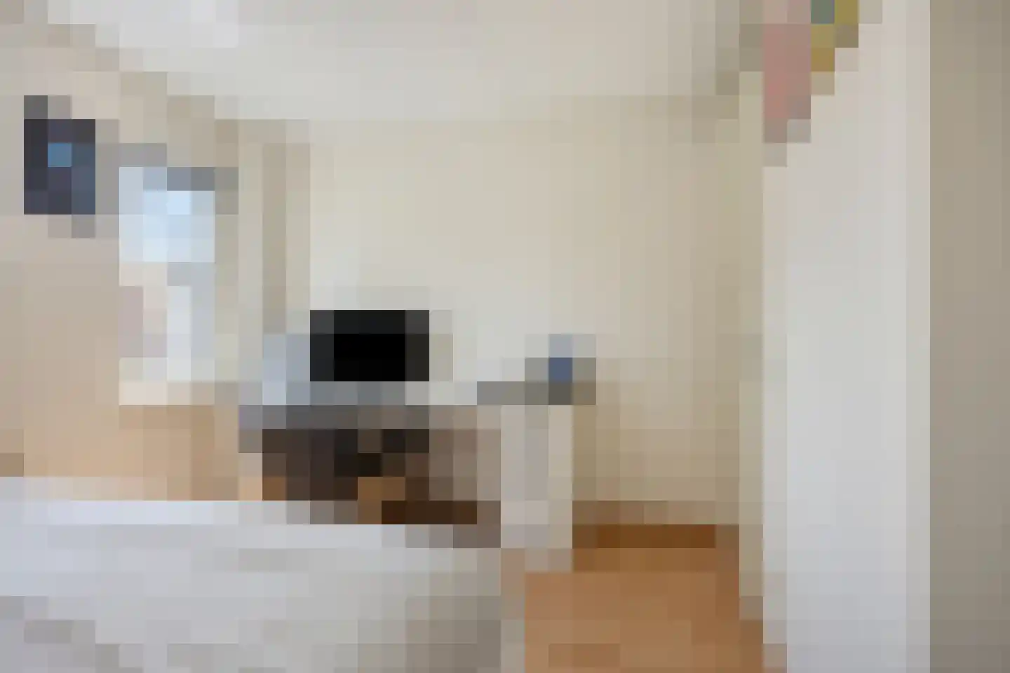 Twaalf Apostelen 19 Tiel thumbnail 22