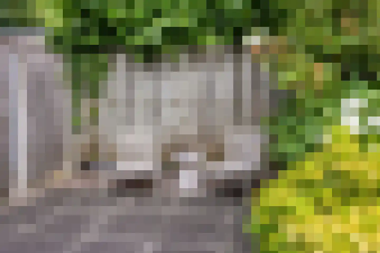 Twaalf Apostelen 19 Tiel thumbnail 35