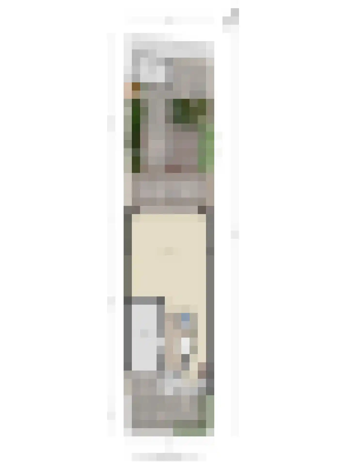 Twaalf Apostelen 19 Tiel thumbnail 44
