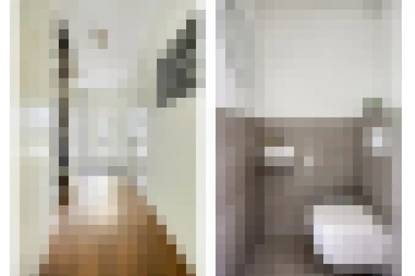 Twaalf Apostelen 19 Tiel thumbnail 5