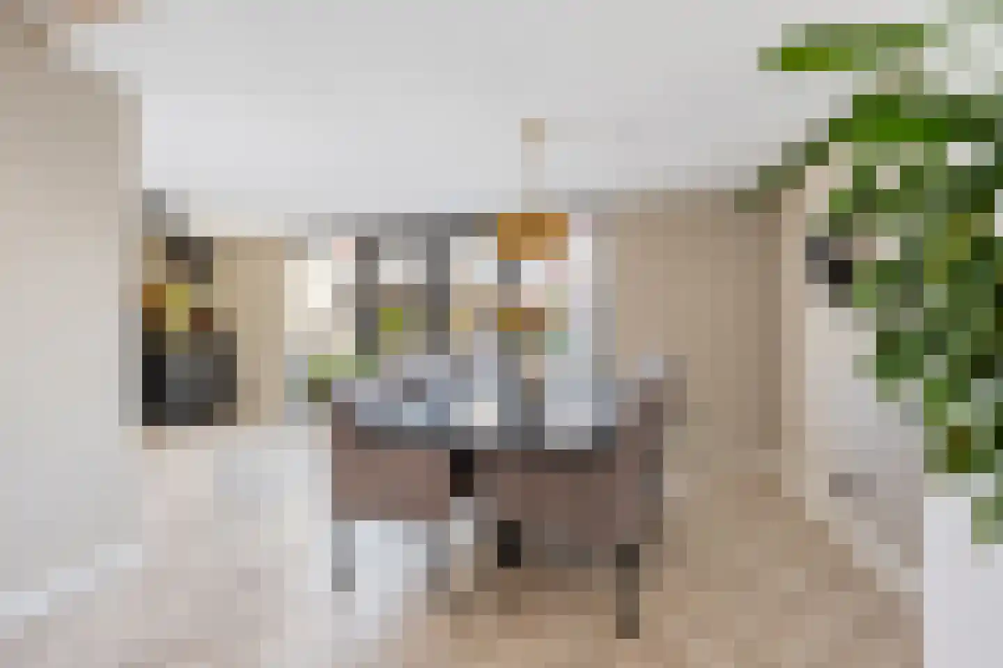 Twaalf Apostelen 2 Tiel thumbnail 21