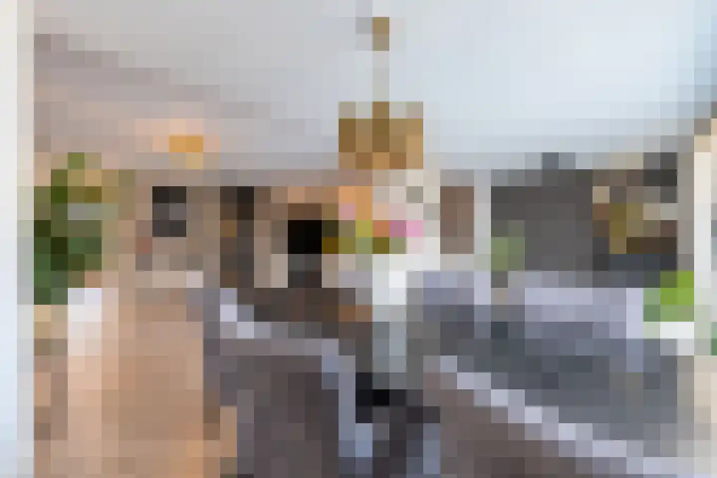 Twaalf Apostelen 2 Tiel thumbnail 26