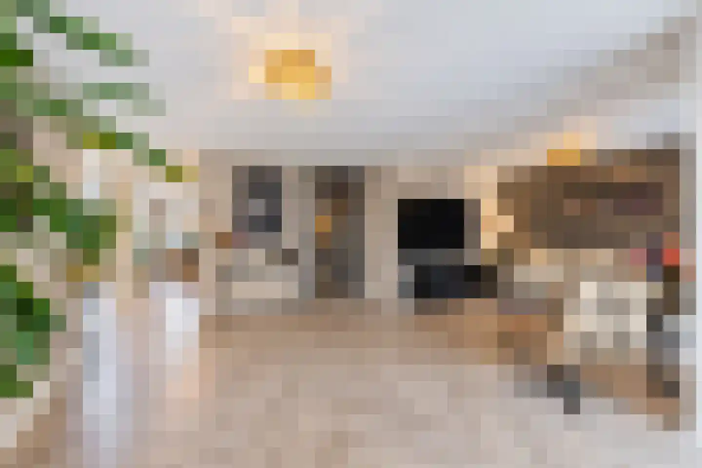 Twaalf Apostelen 2 Tiel thumbnail 27