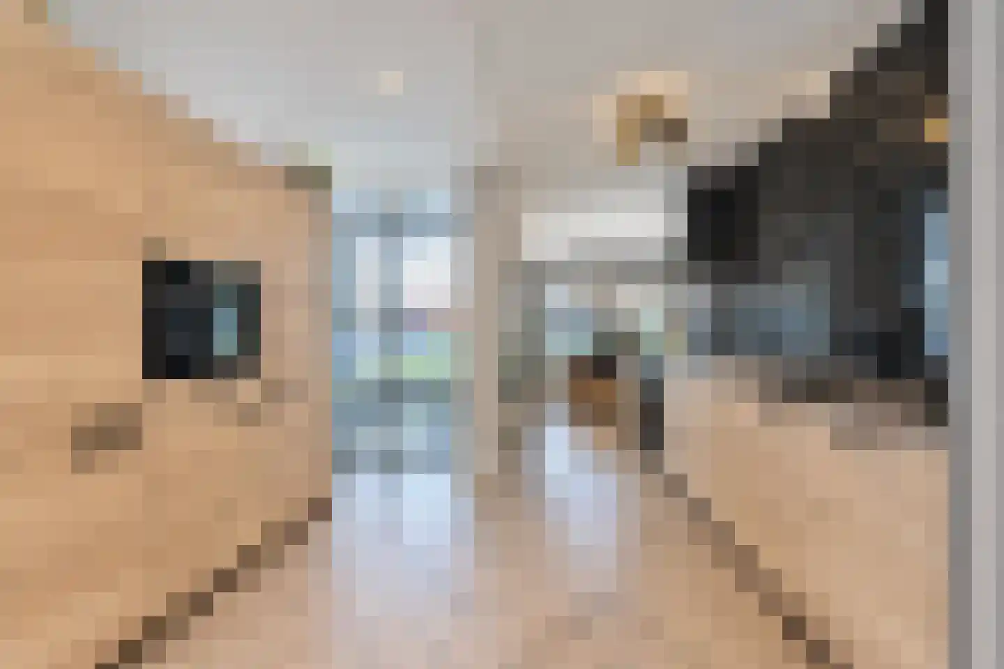 Twaalf Apostelen 2 Tiel thumbnail 31