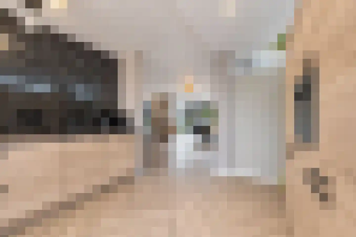 Twaalf Apostelen 2 Tiel thumbnail 34