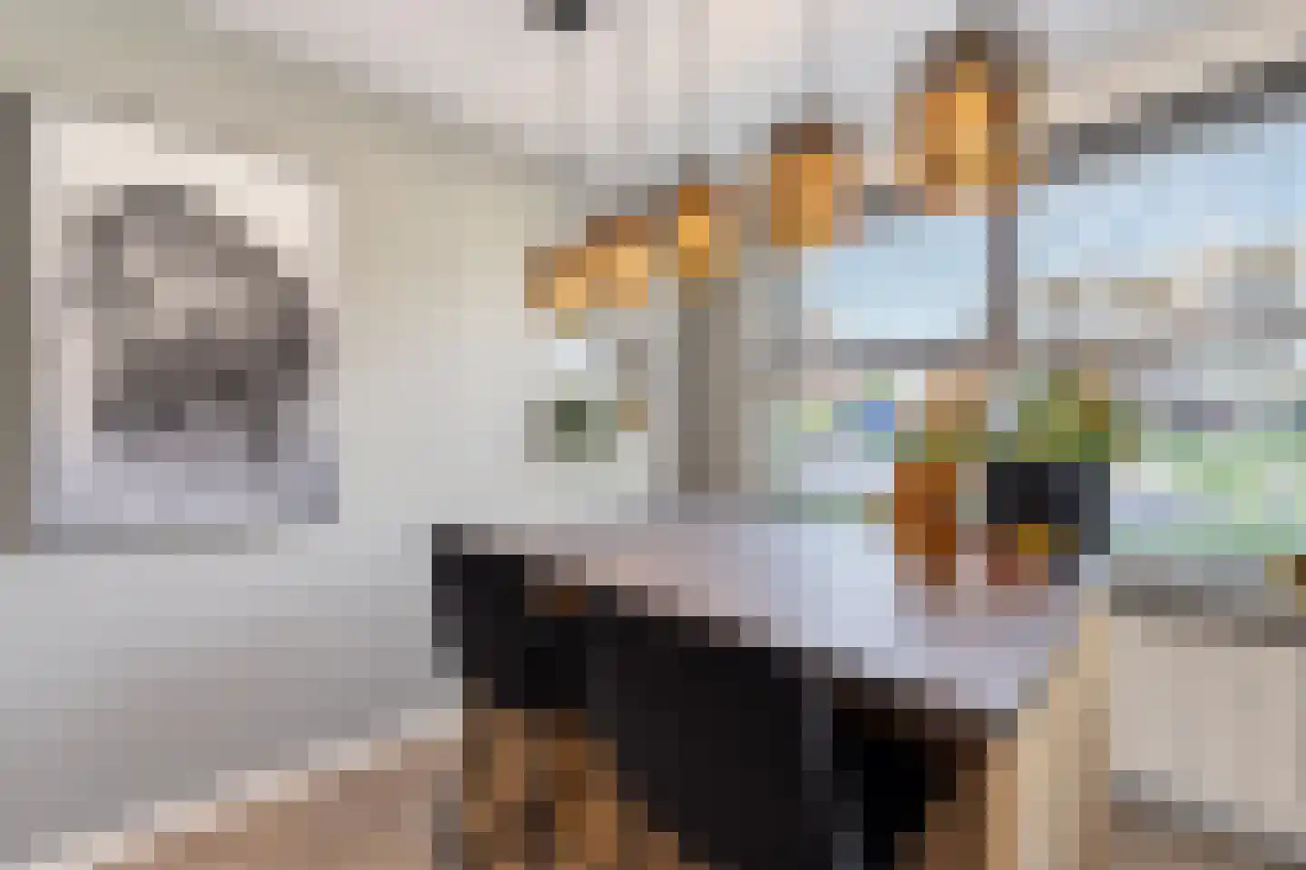 Twaalf Apostelen 2 Tiel thumbnail 36