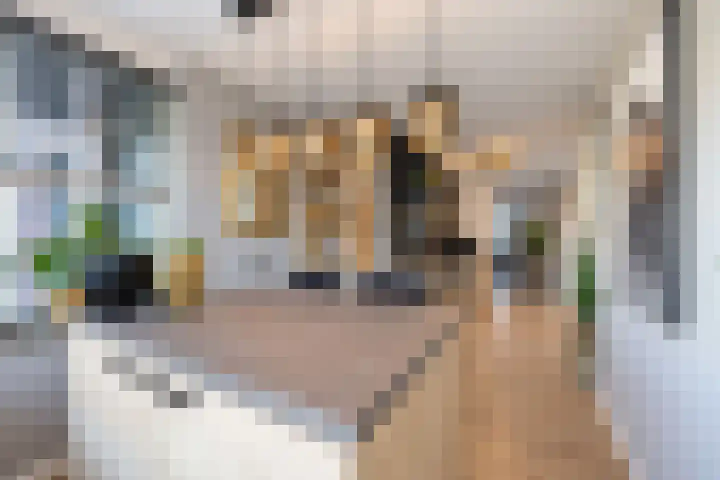 Twaalf Apostelen 2 Tiel thumbnail 37