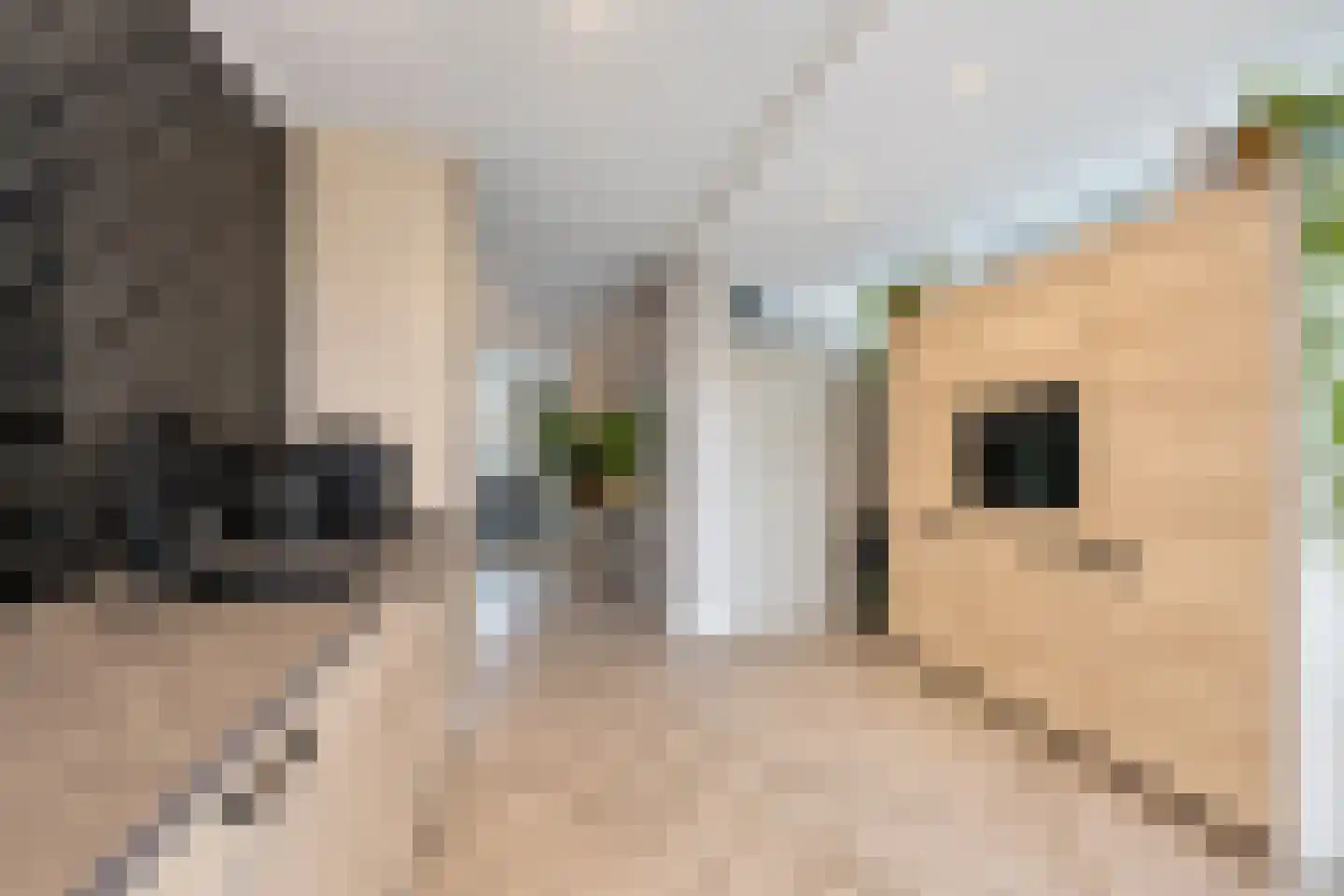 Twaalf Apostelen 2 Tiel thumbnail 38