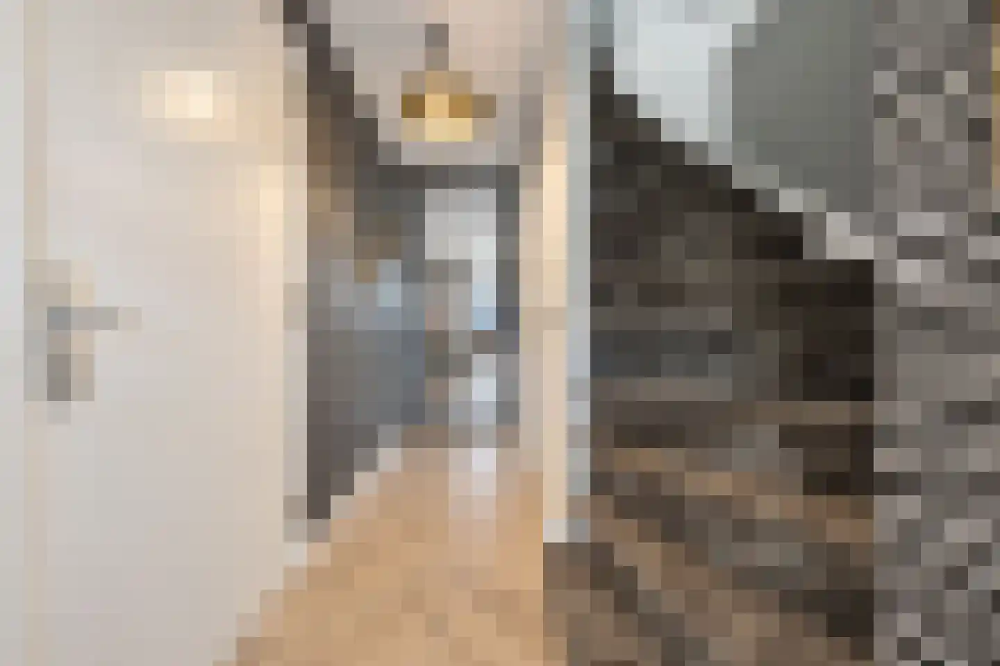 Twaalf Apostelen 2 Tiel thumbnail 51