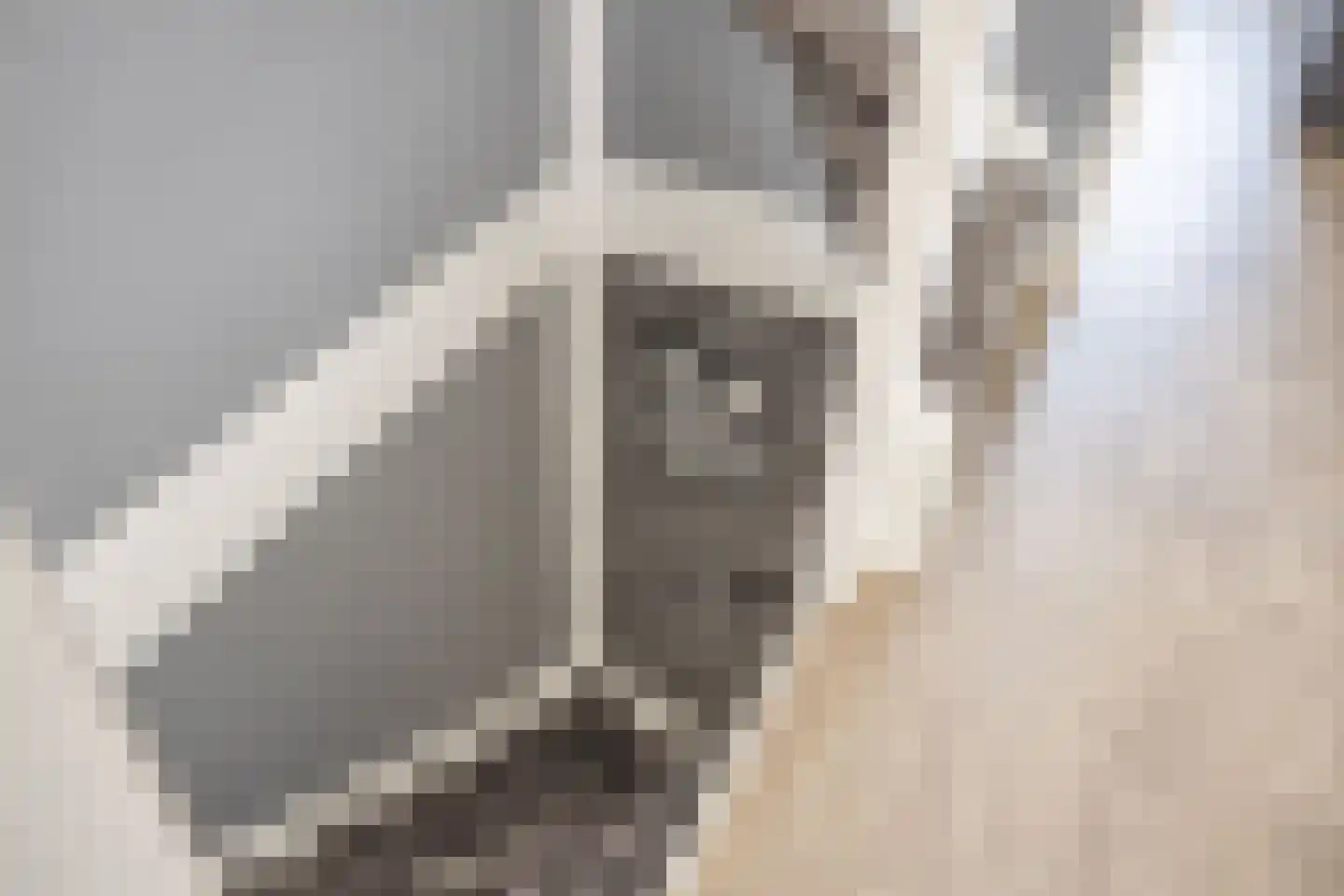 Twaalf Apostelen 2 Tiel thumbnail 52