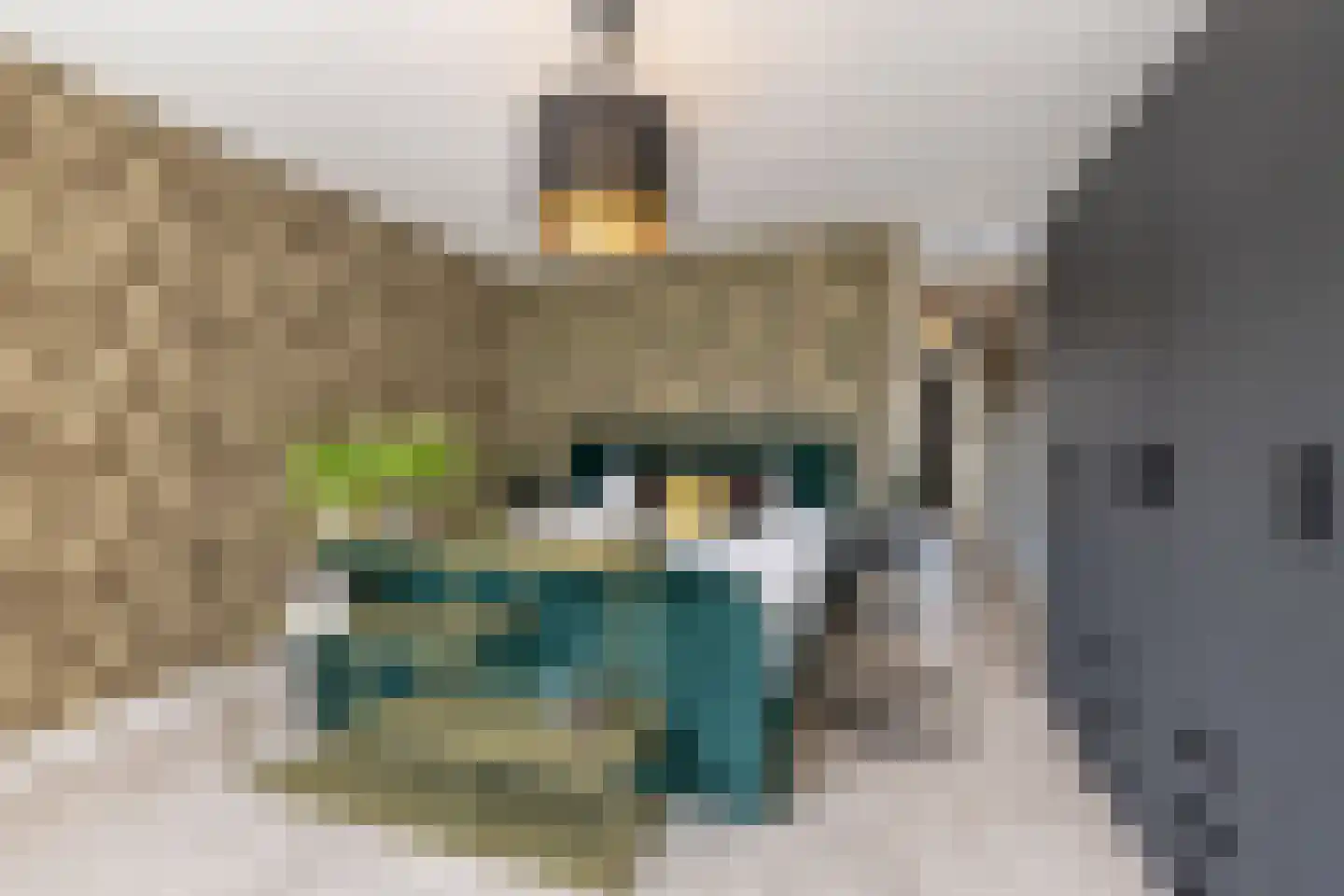 Twaalf Apostelen 2 Tiel thumbnail 55