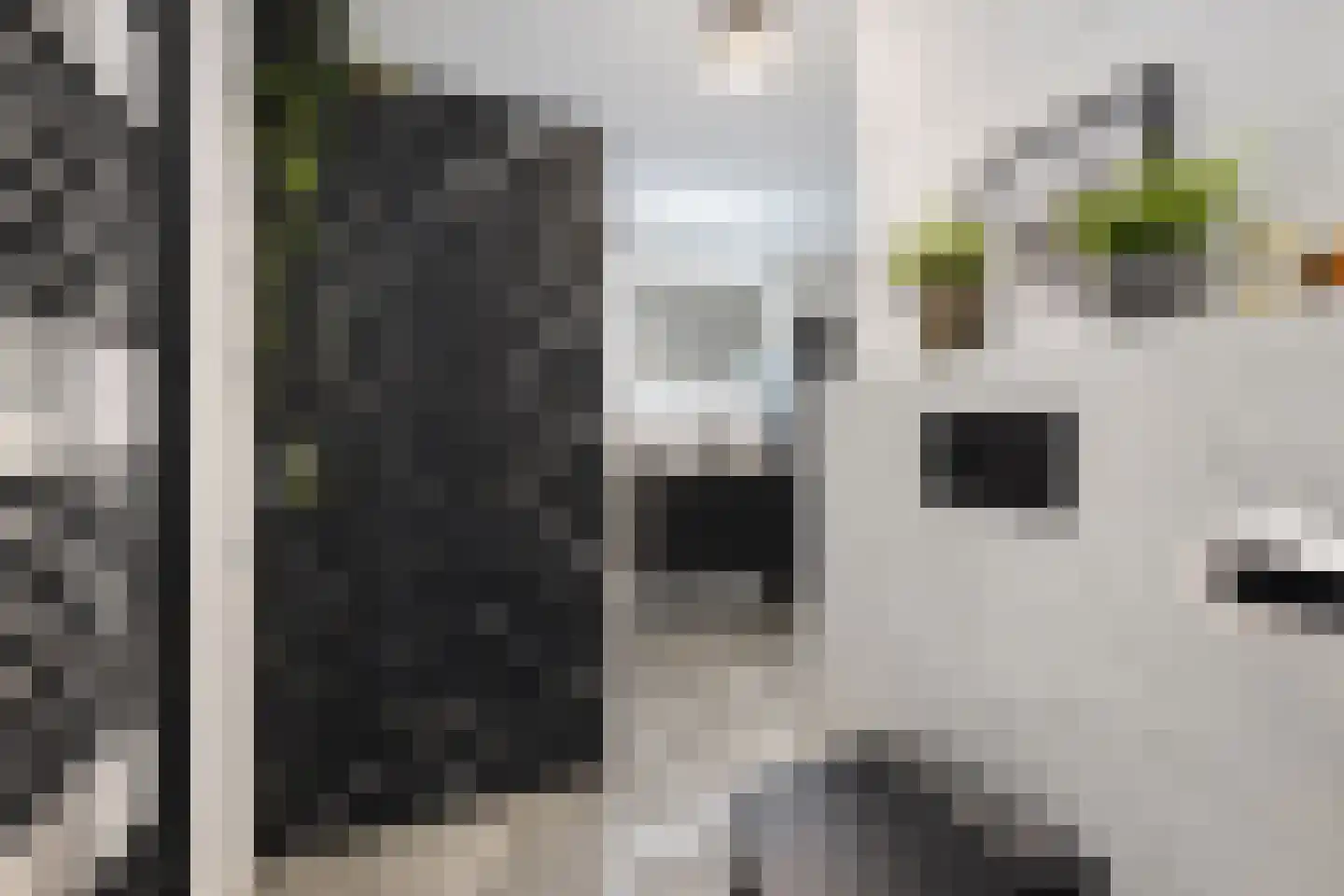 Twaalf Apostelen 2 Tiel thumbnail 65