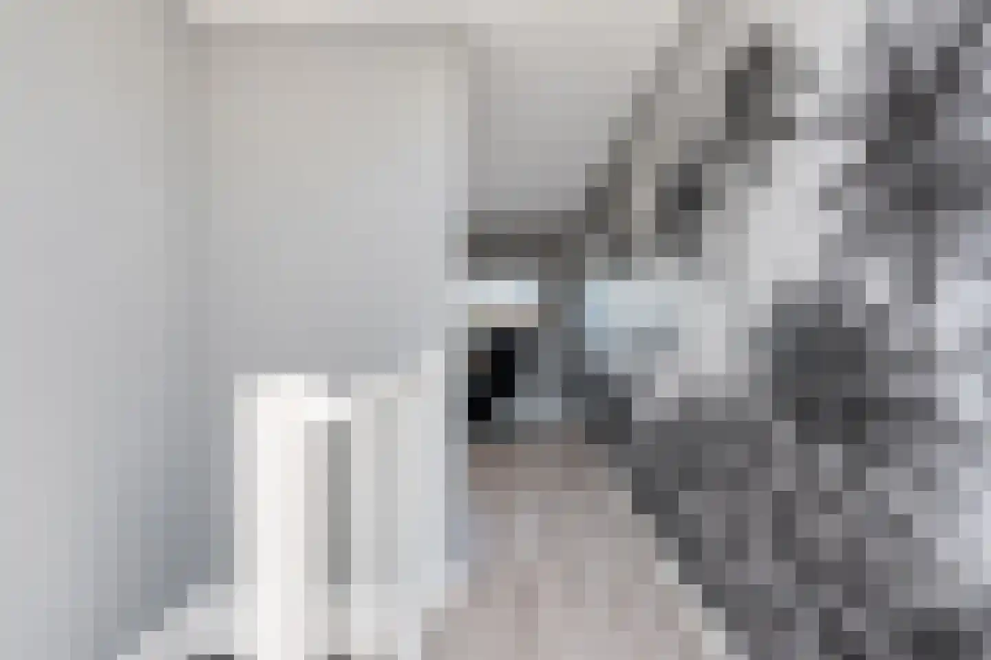 Twaalf Apostelen 2 Tiel thumbnail 69