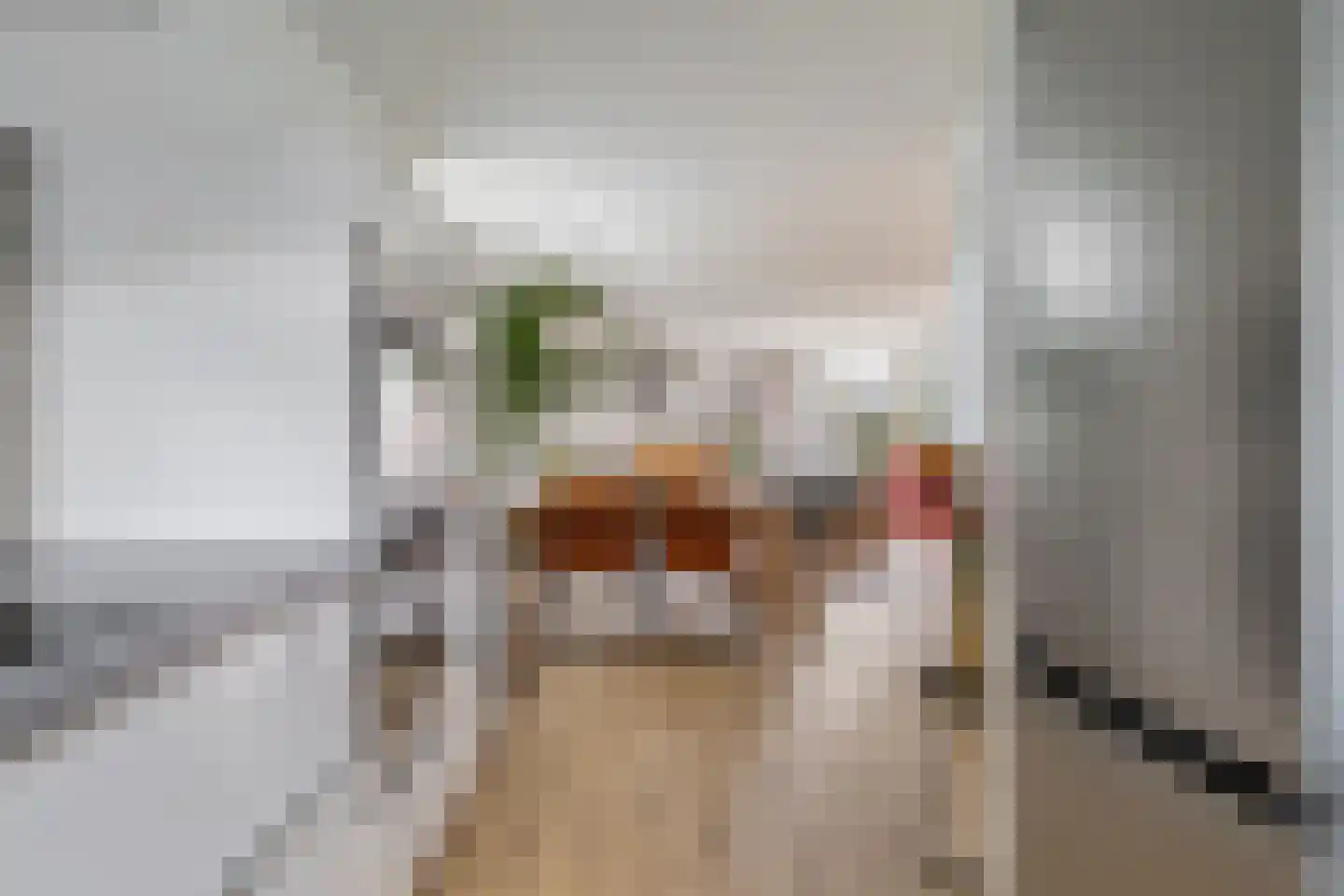 Twaalfbunder 9 Breda thumbnail 20
